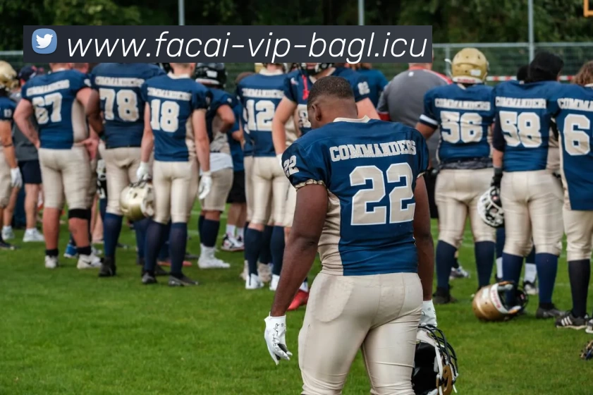 华体会体育注册服务体系